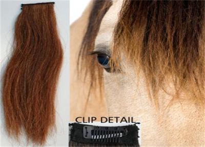 China Custom 70-100cm Horse Tail Extensions Natural Tapered Blunt Cut for sale