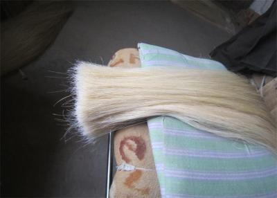 China Long Double Drawn Horse Tail Hair Natural White Color 30 Inch for sale