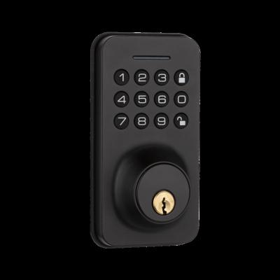 China Tuya/TT Door Lock Password Keypad Remote Control Cheap Lock For Door Home Security Smart Lock for sale