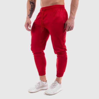 China New Breathable Sports Pants Men's Fitness Jogger Pants Men's Fashion Muscle Fitness Training Cargo Pants for sale