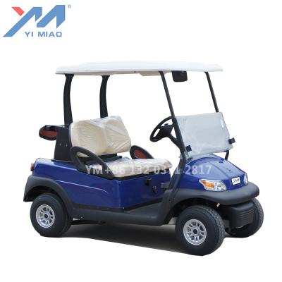 China Factory price 2 seater mini electric golf carts for sale 205/50-10 for sale