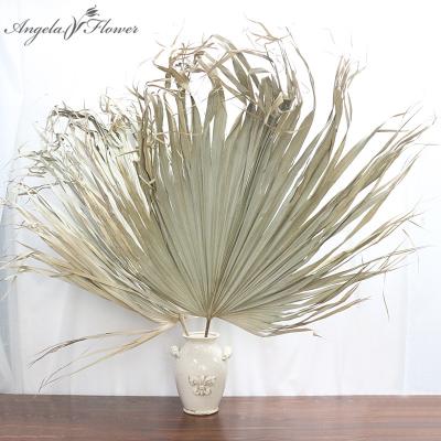 China Artificial Palm Leaf Fan Leaf Decor Wedding Flower Wall Dry Home Materials for sale