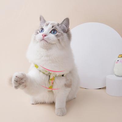 China Personalized Long Lead Polyester Soft Padded Stylish Pet Training Products Walking Leash for sale