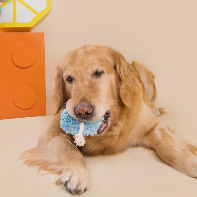 China Hot Sale Viable Dog Chew Plush Training Toys Bite Resistant Interactive Durable Squeaky Interesting Toys for sale