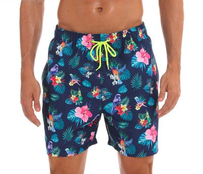 China Custom QUICK DRY men's waterproof fashion summer casual swimwear sublimated beach quick dry panel short pants for sale