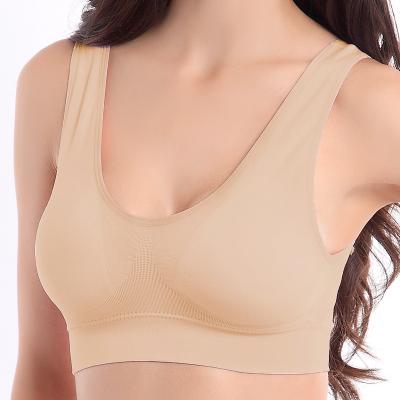 China QUICK DRY Sports Bra No Trace Steel Ring Yoga Sports Bra No And Bondage Gather Sleep Yoga Bra Zero Underwear for sale