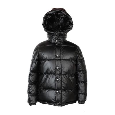 China Newest Fashion Viable Women's Jacket Hooded Lady Jacket Women Down Bubble Jacket for sale