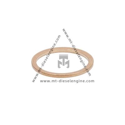 China Sealing ring 01118713 01118915 0111 8713 0111 8915 0118713 1118915 For DEUTZ TD3.6 Engine for sale