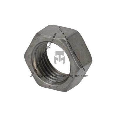 China Nozes hexagonais 02109637 0210 9637 2109637 para motor Deutz TCD4.1 à venda