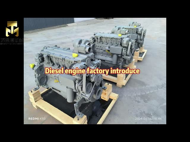 Dalian momentum diesel engine factory.