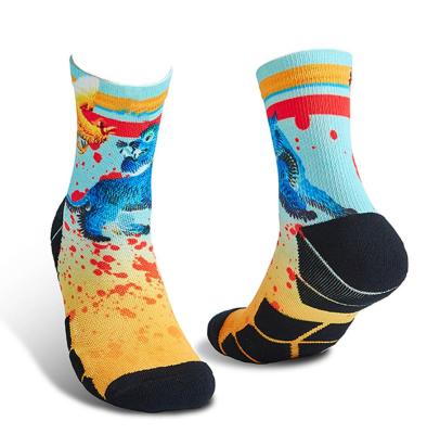 China Scuff resistance 360 ​​degree seamless custom design unisex cotton colorful digital 3d photo printing socks sport sublimation to make your own socks for sale