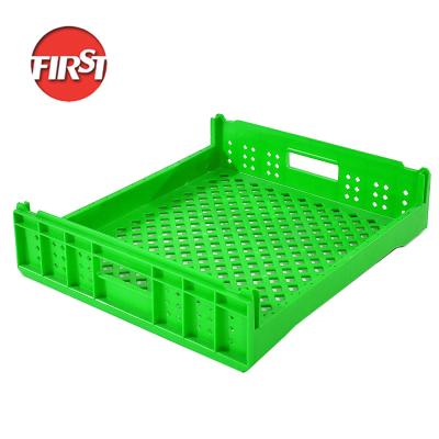 China Safe Food Grade Plastic Tray For Bakery Food Usage Customized Bread Tray for sale