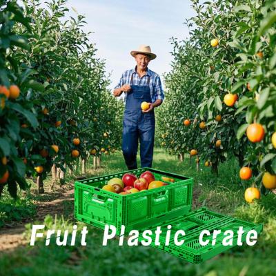 China Collapsible Crate Storage Mesh Plastic Containers Moving Boxes Stackale Fold for sale