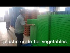 Fruit Storage Collapsible Plastic Basket For Agriculture Mushroom Vegetables 570mm