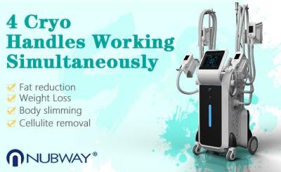 China cryolipolysis fat freeze treatments freezing fat cells reviews beauty device for sale