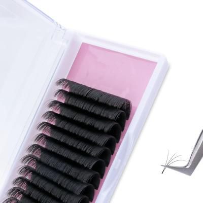 China 15-20mm Loop 15-20mm Tray Easy Fan Lash Extensions Mixed Fast Blooming Individual Fanni Lash Extensions 0.05mm D Volume 5D Eyelash Extension for sale