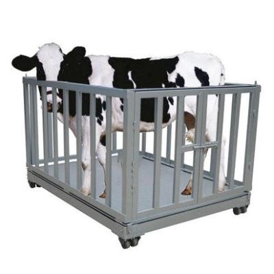 China Industrial Scales Industrial Digital Animal Cattle Weigh  Extensive Range of Animal Scales for Weighing Large Farm for sale