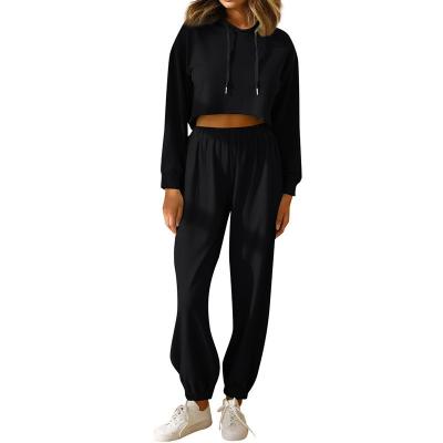 China Women Outfits Two Piece Set Hoodie Tracksuit for sale