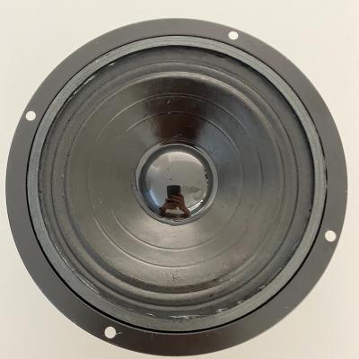 China DTS Speaker Amplifier Unit Factory Factory Stainless Iron 5inch 135 8 Ohm 19Corn Reverse Edge Coated Speaker Unit for sale