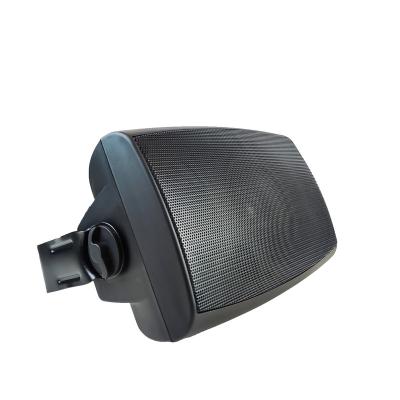 China DTS Ceiling Speaker Hot Sale PA Speaker 313B 6 Inch Black Ceiling Speaker for sale