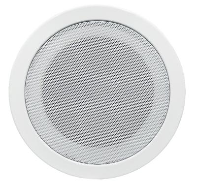 China New Stereo Sound Ceiling Speaker Hot Selling PA Speaker TS 306 5 Inch 10w White Ceiling Speaker for sale