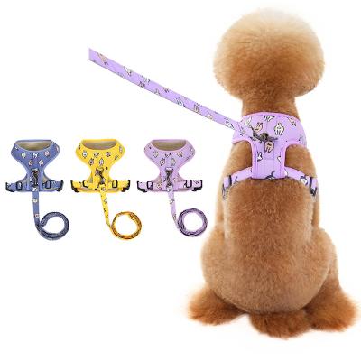 China 2022 Viable New Color Chest Strap Leash Set Polyester Material Chest Strap Leash Set for sale