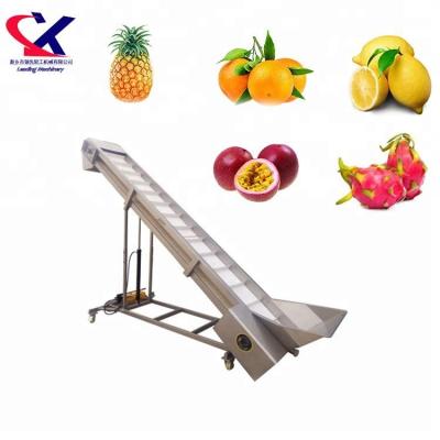 China High Quality Hot Selling Type High Efficiency 304 Stainless Steel Fruit Scraper Lifter for sale