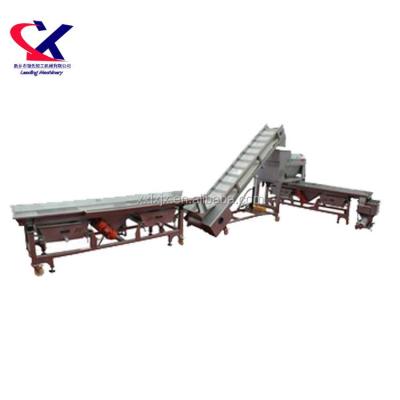 China Professional High Efficiency Grape Grape Processing Line Sorting And Crushing With Wine Making Equipment for sale