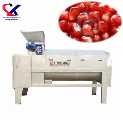 China High Efficiency Easy Operate Automatic Pomegranate Peeling Machine Fruit Seed Deseeder Peeler For Industry Factory Processing for sale