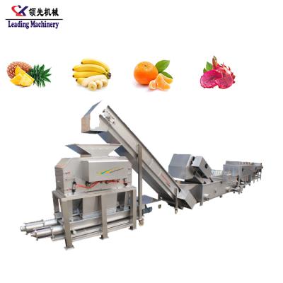 China High Efficiency / Easy Operation Fruit Juice Processing Plant High Quality Citrus Processing Line for sale