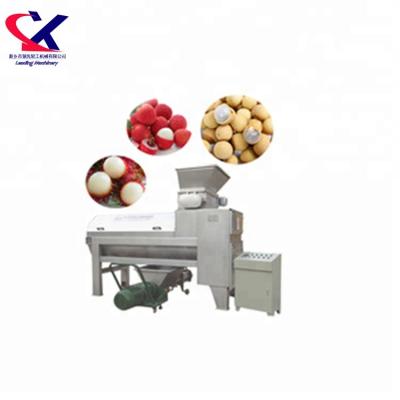 China High Efficiency Lychee Industrial Pit Processing Machine Longan Fruit Pitting Machine for sale