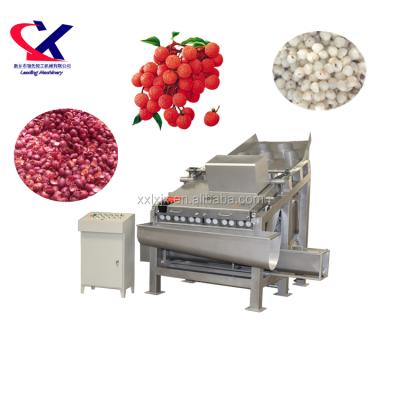 China High efficiency lychee peeling machine advanced technology lychee peeling machine lychee wine production line equipments 1-3t/h for sale