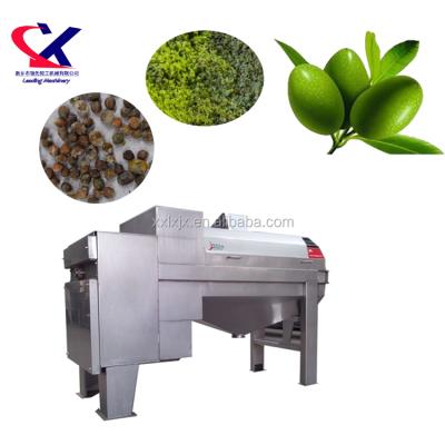 China High Efficiency Olive Pitting Machine 5t/h Suitable For Industrial Olive Seed Removing Machine for sale