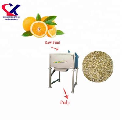 China High Efficiency Citrus Orange Grape Red Grapes Seed Removal Separating Machine for sale