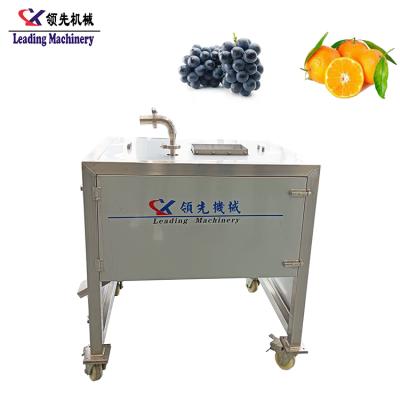 China High Yield Tangerine Citrus Grape Red Grapes Orange Seed Removing Seeder for sale