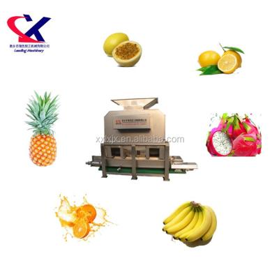 China High Efficiency Banana Peeling Processing Line 3TH Banana Pulper Equipment Fruit Jam Machine for sale