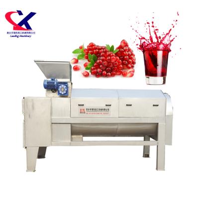 China Easy Operation Pomegranate Processing Machine Commercial Pomegranate Juice Processing Machinery for sale