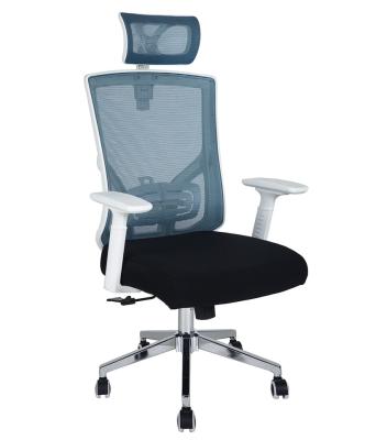 China Adjustable Plastic Back (Height) Ergonomic Mesh Home Fotel Computer Desk Chairs for sale