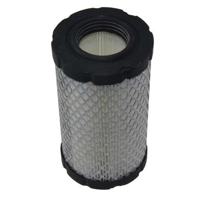 China Lawn Mower Hainet Replacement Cartridge Lawn Mower Garden Air Filter for Briggs and Stratton 793569 for sale