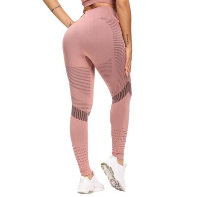 China Anti-Bacterial New Seamless Hollowed Out Yoga Clothes High Waist slim Buttock Lifting Leggings For Women's Fitness Pants for sale