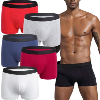 China Anti-Bacterial Cotton Boxer Pants Solid Color Mid-waist Boxers Comfortable Skin-friendly High Quality Custom Male Underwear for sale