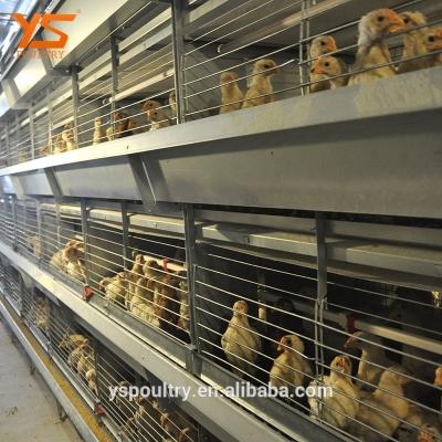 China Safe H Type 8 Rows Farms Pullet Cages For Sale for sale