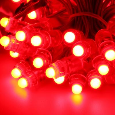 China LANDSCAPE factory direct sale led pixel 12mm red colors 12v LED pixel light for sale