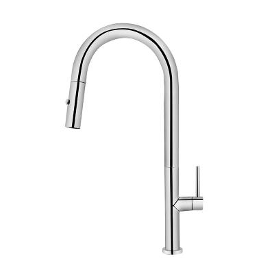 China Other 2022 High Quality 304 Stainless Steel Kitchen Faucet 25MM Chrome Kitchen Faucet Pull Out Kitchen Faucet for sale