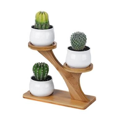 China American Style Simple Creative Flower Succulent Garden Sets Bamboo Frame White Glazed Ceramic Pot for sale