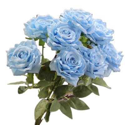 China Wholesale Materials 46CM 9 Head Blue Artificial Decoration Flower Eco-friendly Rose Bouquet Decorative Home Wedding for sale