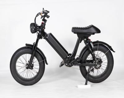 China 48V500W Aluminum Alloy 20 Inch Fat Tire Snow Power Electric Mountain Bike for sale