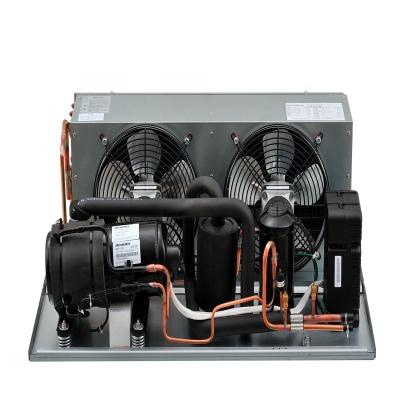 China Indoor And Outdoor COOLING/FREEZING Condensing Unit With Refrigeration Compressor For Showcase Display for sale