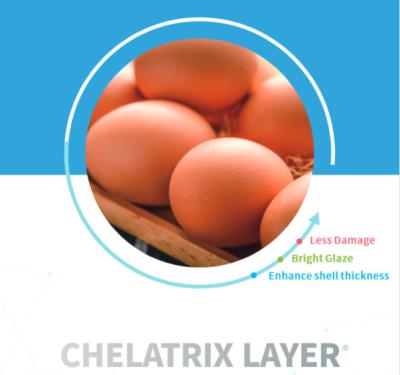 China Chelota Chelatrix Layer C1232 Powder Form For Feed Additives High Broken Egg Rate for sale