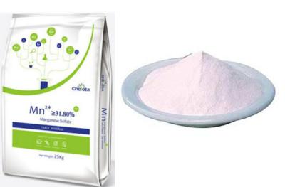 China Feed Addictive Sulfate Salts Pink Powder GMP Manganese Sulphate Powder for sale